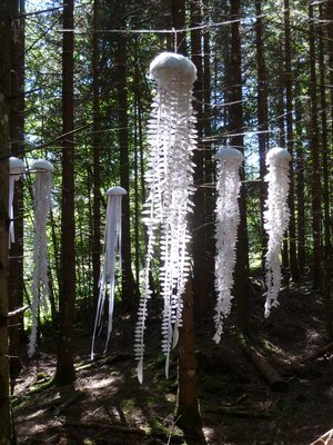 Papierquallen im Wald bei La Bessonnaz